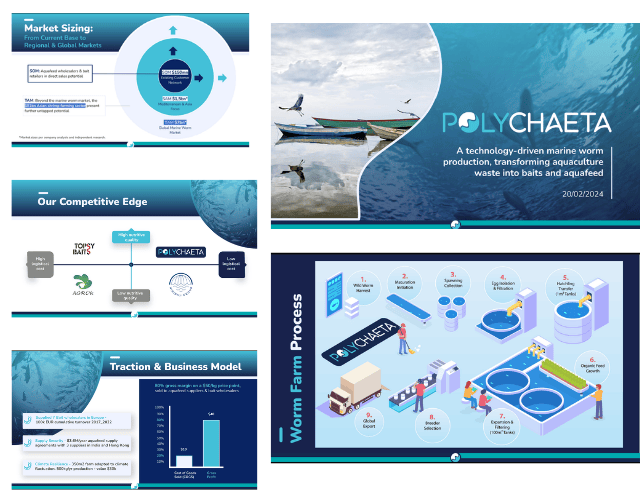 Untitled design_20260311_152521_0000